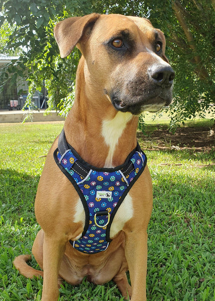 Dog Harness, Milli May Padded Reflective 3 Attachment Point, Moondidley Pets