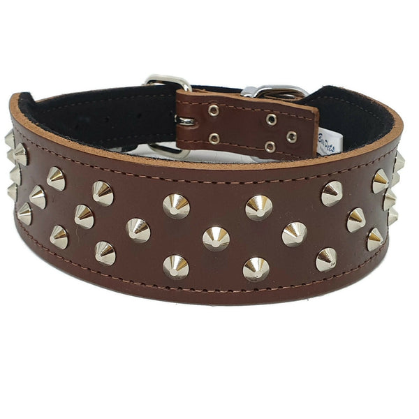 Staffy Leather Studded Dog Collar - Beau Pets