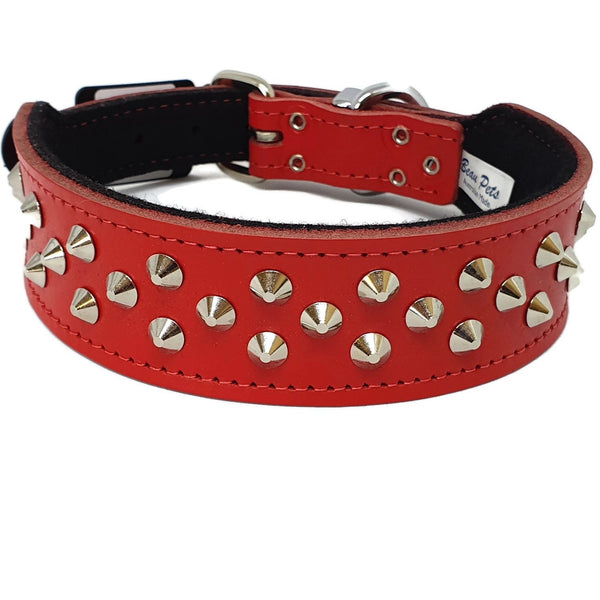 Staffy Leather Studded Dog Collar - Beau Pets