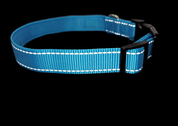 Nylon w/Reflective Stitching Dog Collar - Moondidley Pets