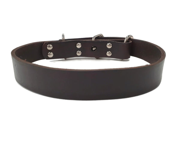 Local Hand Made Cow Leather Dog Collar