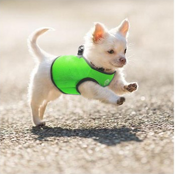 Velcro dog online harness vest