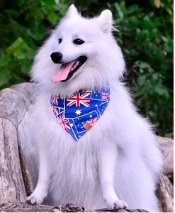 #1 Australia Day Reversible Pet Bandana - Octavia's Pup Shop