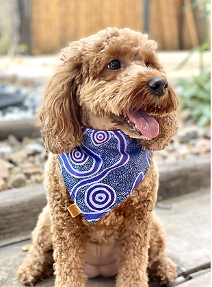 #7  Snakes Alive Reversible Pet Bandana - Octavia's Pup Shop