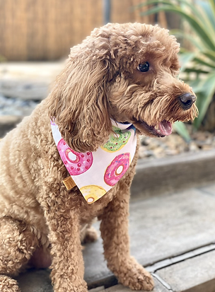 #13 Donut Reversible Pet Bandana - Octavia's Pup Shop