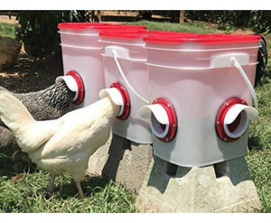 Cheecky Chooka DIY Poultry Feeder Port 4pk