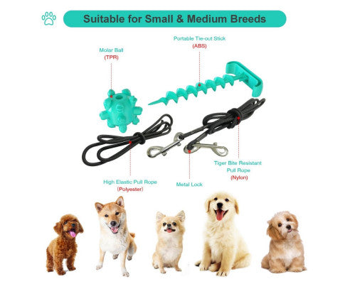 Portable Dog Tie-out Stick Set Outdoor Interactive Tug of War Toy