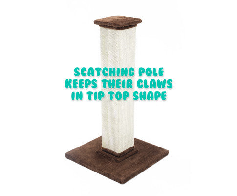 Paw Mate 92cm Cat Tree Noppo Multi Level Scratcher