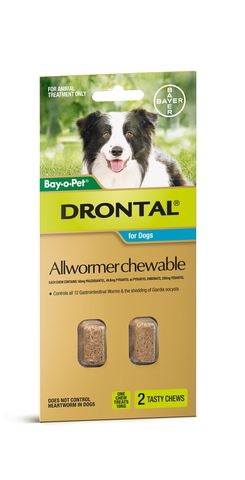 Drontal Dog 10Kg Chewable 2S - Allwormer