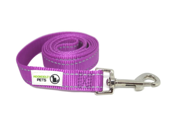 reflective dog lead purple