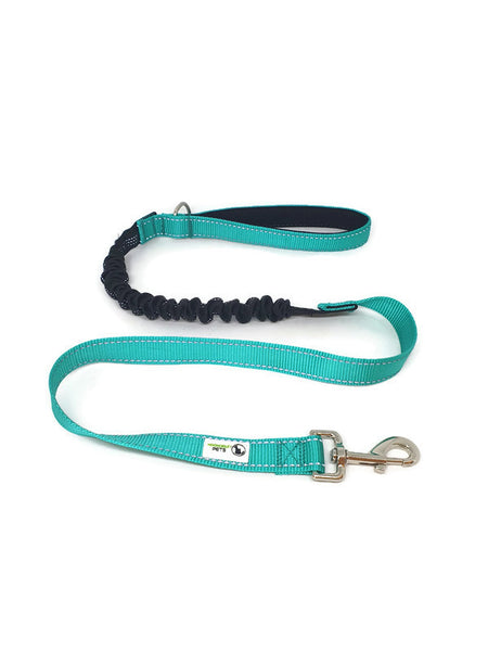Bungee Dog Lead Nylon w/Reflective Stitching - Moondidley Pets
