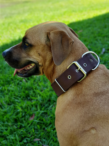 Dog Collar Tough Wide Double Layer Nylon Heavy Duty - Prestige.